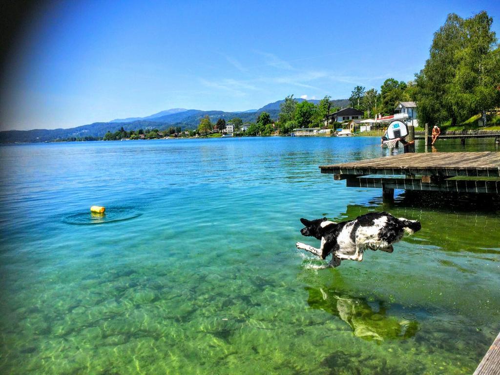 Appartements Allmaier Portschach am Woerthersee Exterior foto